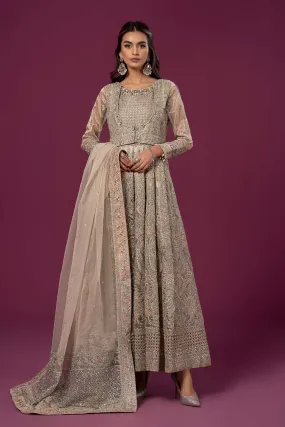 3 Piece Embroidered Net Suit | SF-EF24-25