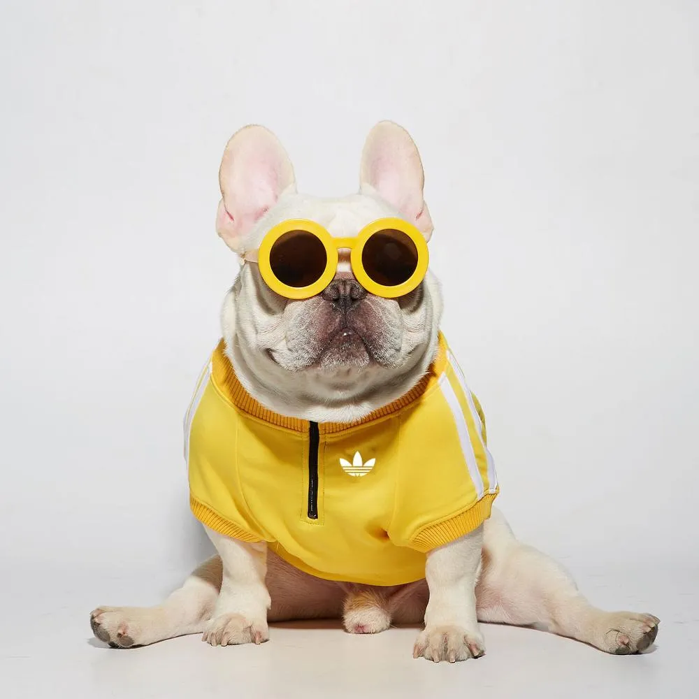 Adidog Retro Track Jacket