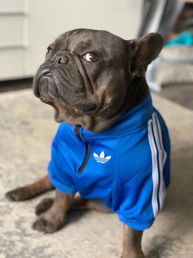 Adidog Retro Track Jacket