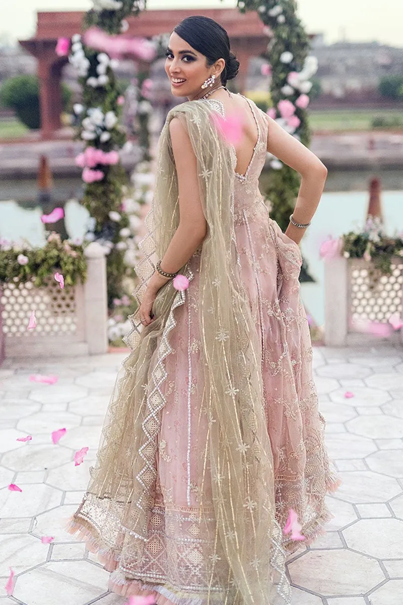 Mushq Tissue De Luxe Hawa Mahal Collection – Dahalia