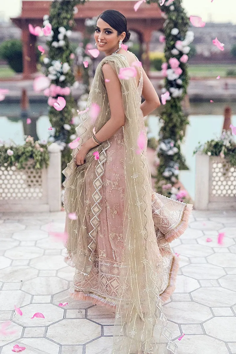 Mushq Tissue De Luxe Hawa Mahal Collection – Dahalia